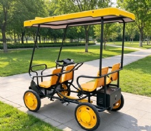 Pedal-Electric Dual Mode 4-Seater Sightseeing Bike for Sharing System