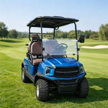 Blue Multi‑Color Custom 4‑Passenger Electric Golf Cart
