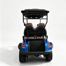 Blue Multi‑Color Custom 4‑Passenger Electric Golf Cart