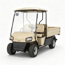 Custom Color Off-Road 2 Seater With Rear Cargo Bed 3500W-7500W Motor Lithium Battery Electric Golf Cart Custom Color Off-Road 2 Seater With Rear Cargo Bed 3500W-7500W Motor Lithium Battery Electric Golf Cart
