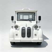 11 Seater Enclosed Electric Shuttle Car for Tourism Sightseeing Park Hotel Campus Transport