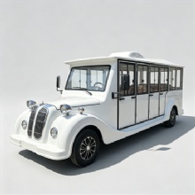 11 Seater Enclosed Electric Shuttle Car for Tourism Sightseeing Park Hotel Campus Transport