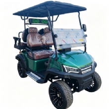 Custom 4 Passenger Electric Golf Cart with Multi‑Color Options
