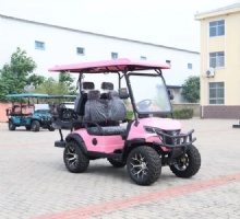 Custom 4 Passenger Electric Golf Cart with Multi‑Color Options