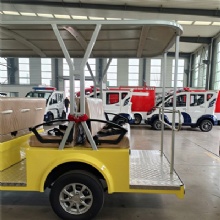 Factory Direct Sale, Made in China Hong Kong Bright 14-Seat Vintage Yellow Sightseeing Car, Electric Bus, 100km Max Range